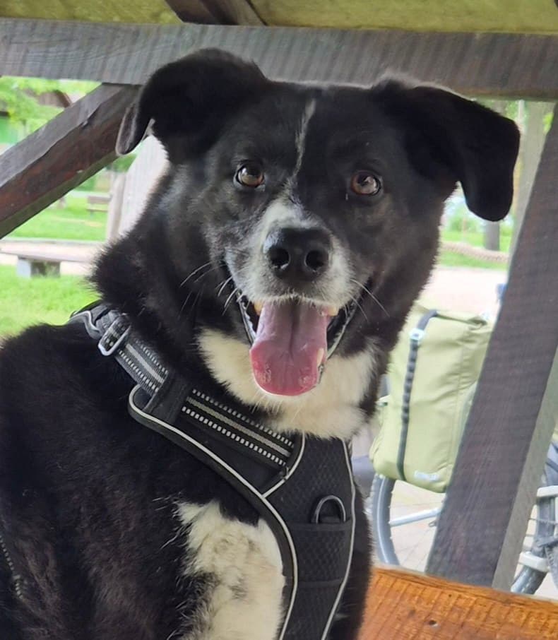 Alex — Chief Happiness Officer auf Abenteuer