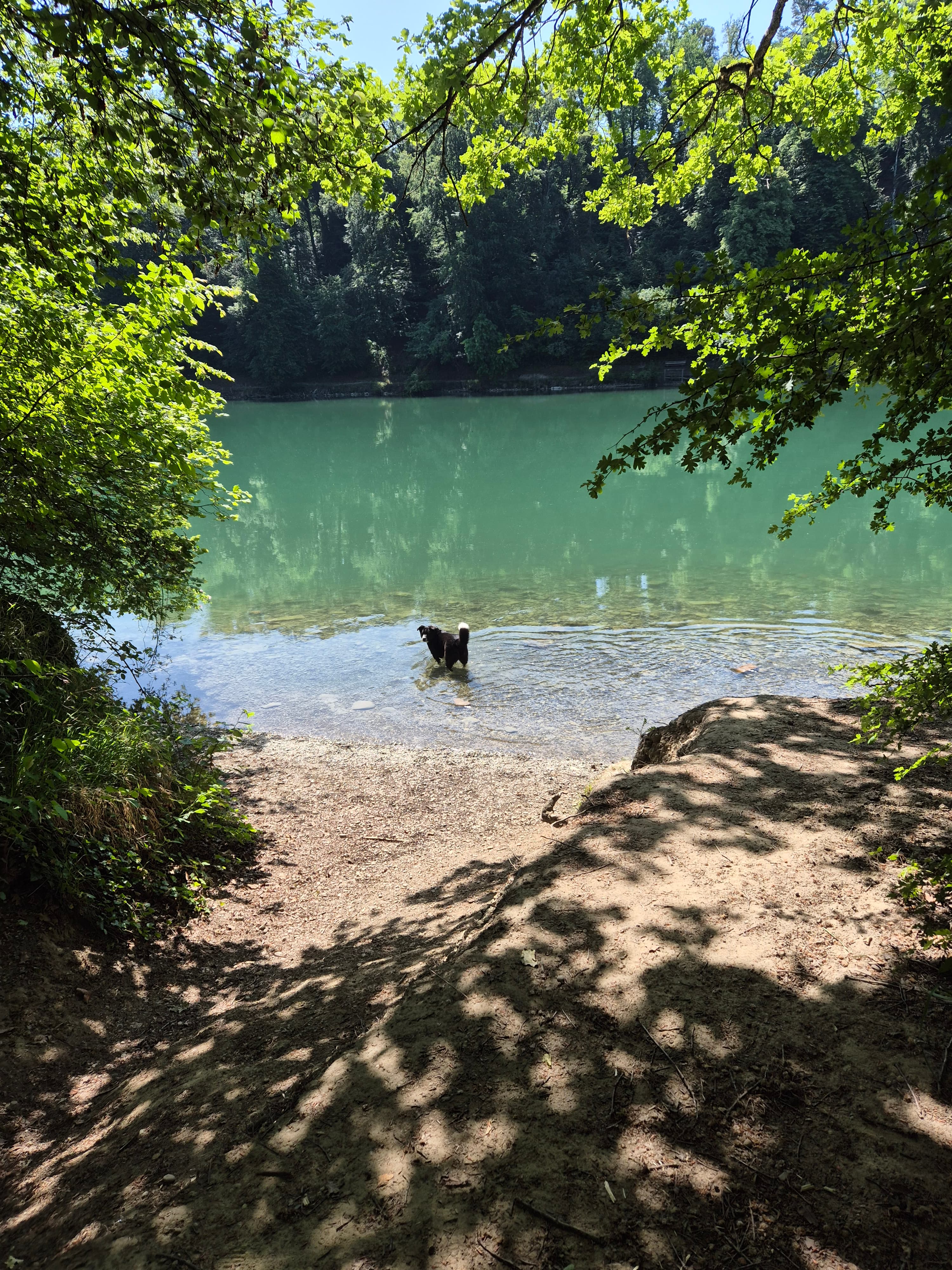 Alex steht zur Abkühlung mitten in einem türkisgrünen Fluss am Kiesufer